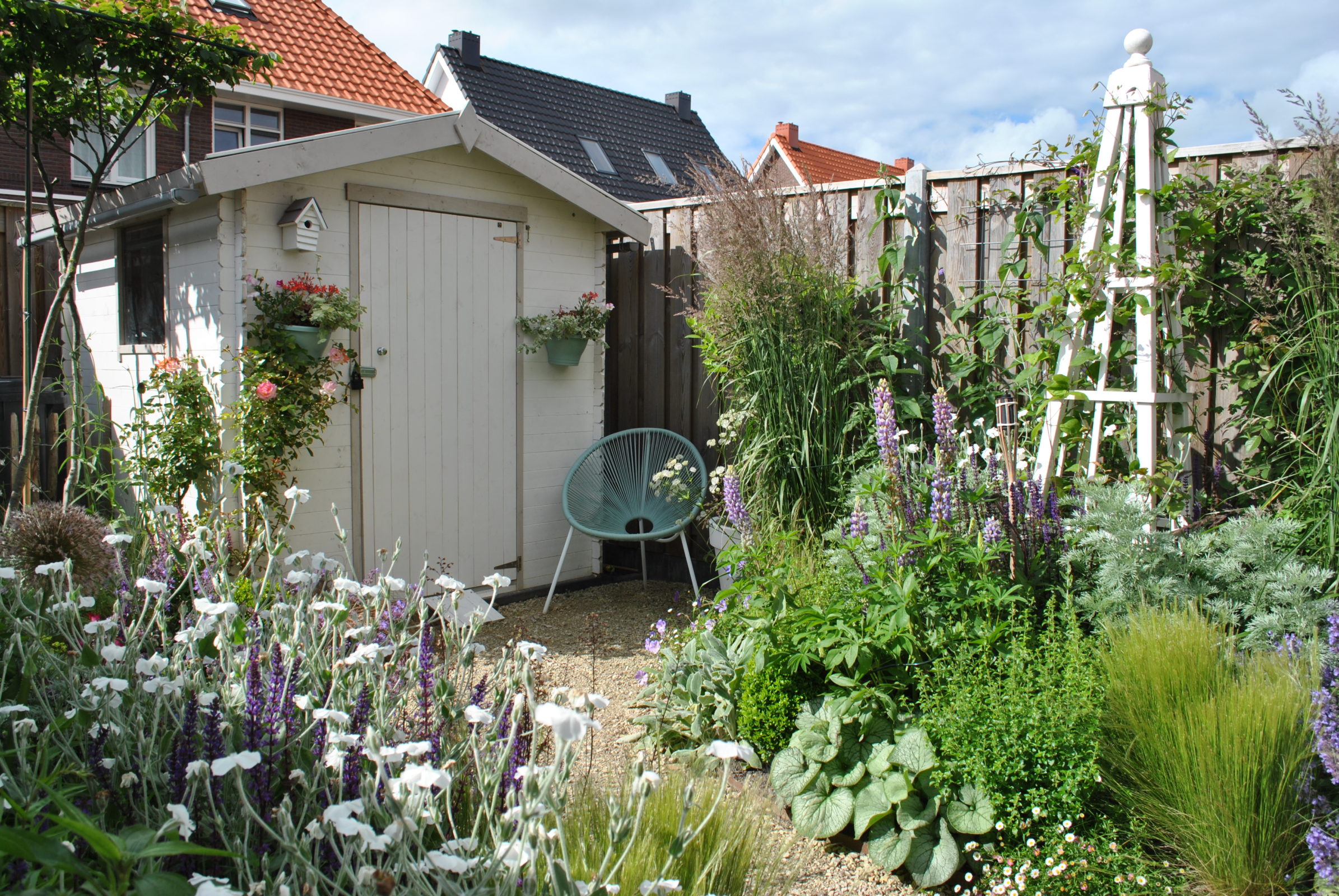 Konijn Hardheid Talloos 10 tips voor een kleine tuin - Zeelandplant - Specialist in tuinplanten