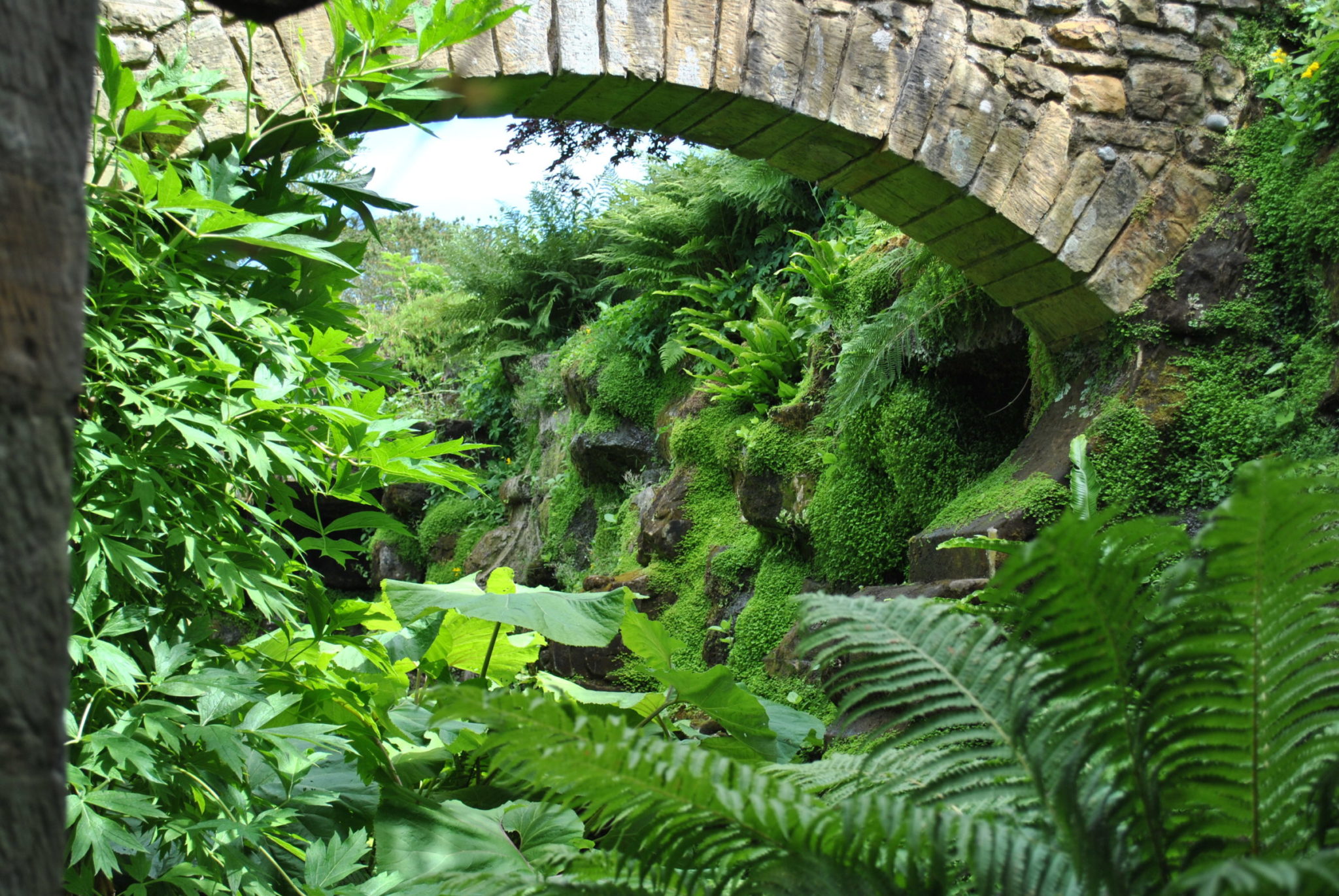 Urban jungle tuin Zeelandplant Hét adres voor alle tuintrends